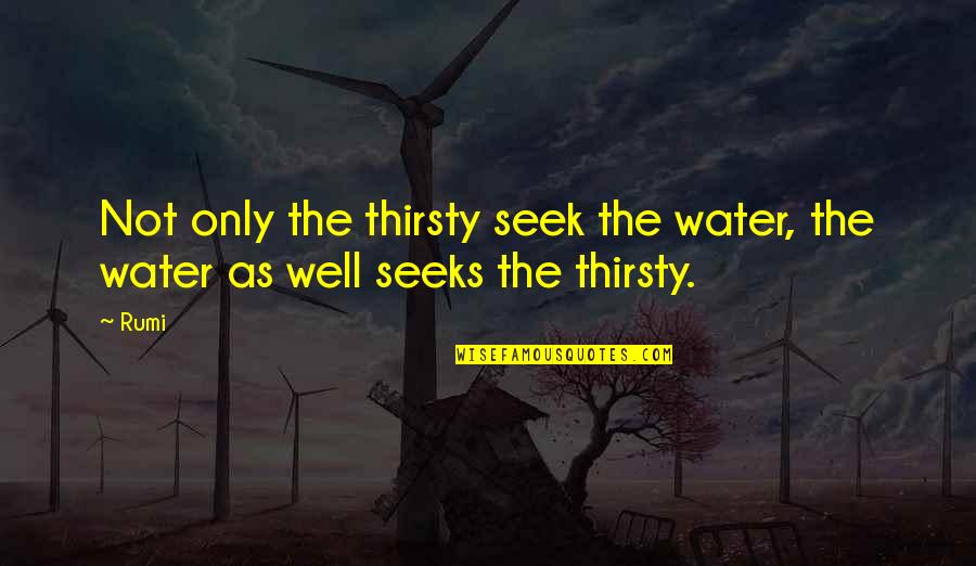 Rachel Duncan Quotes By Rumi: Not only the thirsty seek the water, the