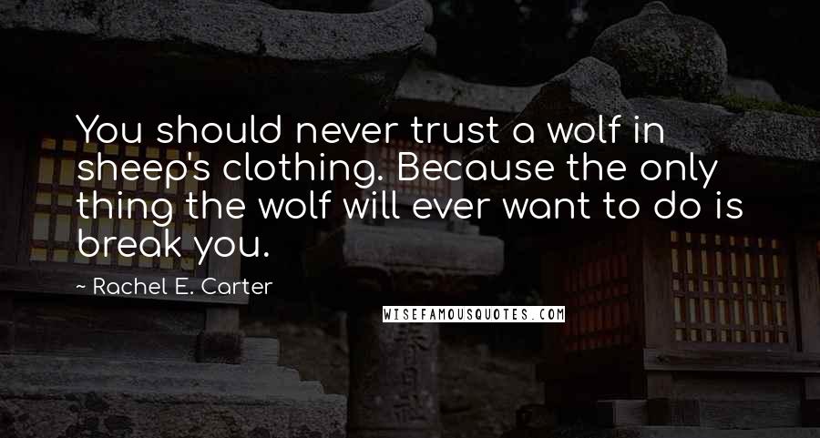 Rachel E. Carter quotes: You should never trust a wolf in sheep's clothing. Because the only thing the wolf will ever want to do is break you.