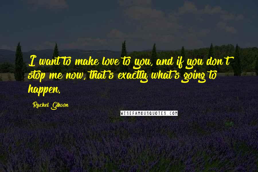 Rachel Gibson quotes: I want to make love to you, and if you don't stop me now, that's exactly what's going to happen.
