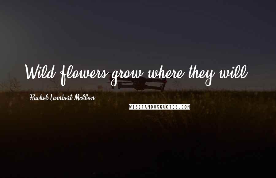 Rachel Lambert Mellon quotes: Wild flowers grow where they will.