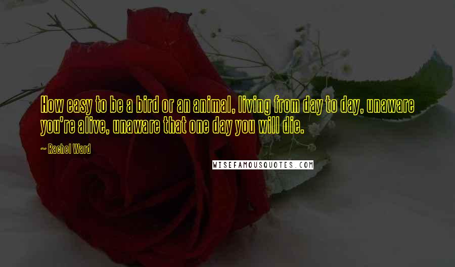 Rachel Ward quotes: How easy to be a bird or an animal, living from day to day, unaware you're alive, unaware that one day you will die. Rachel Ward quotes: How easy to be a bird or an animal, living from day to day, unaware you're alive, unaware that one day you will die.