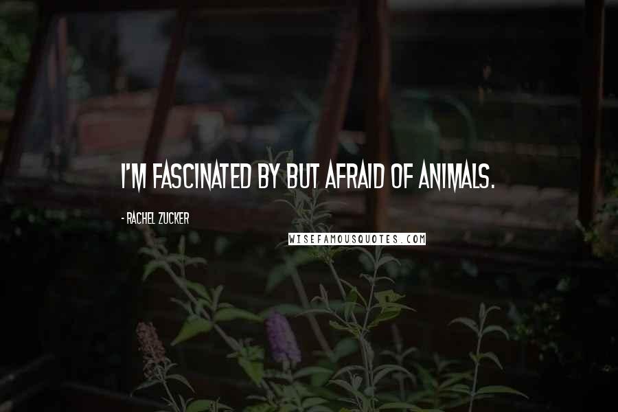 Rachel Zucker quotes: I'm fascinated by but afraid of animals.