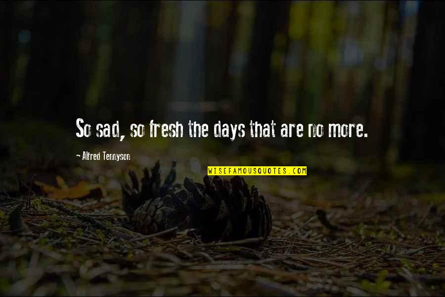 Racine Love Quotes By Alfred Tennyson: So sad, so fresh the days that are