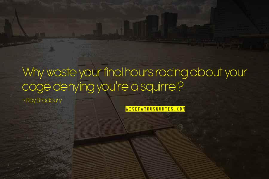 Racing Quotes By Ray Bradbury: Why waste your final hours racing about your