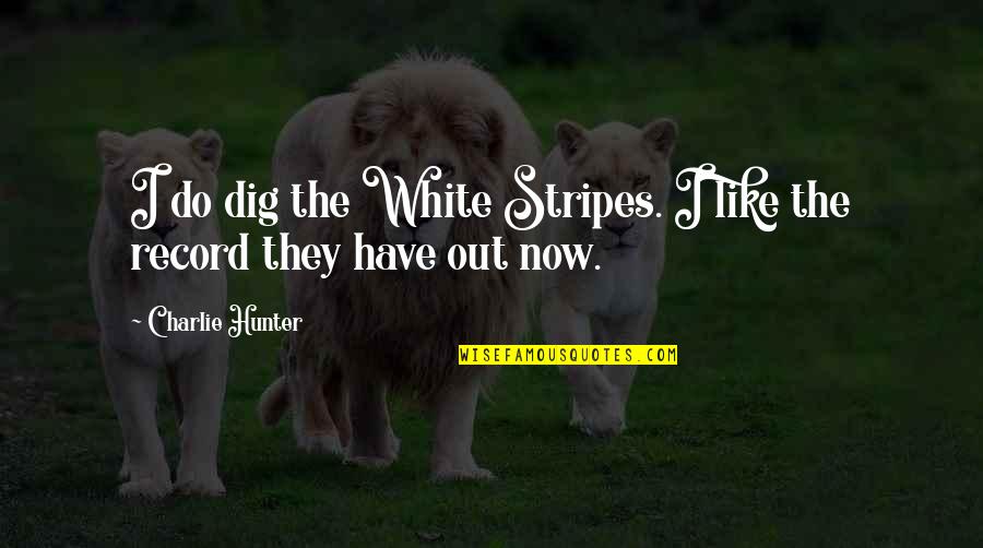 Racism And Sports Quotes By Charlie Hunter: I do dig the White Stripes. I like