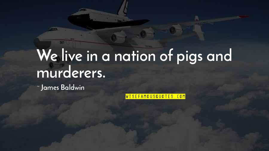 Racism In America Quotes By James Baldwin: We live in a nation of pigs and