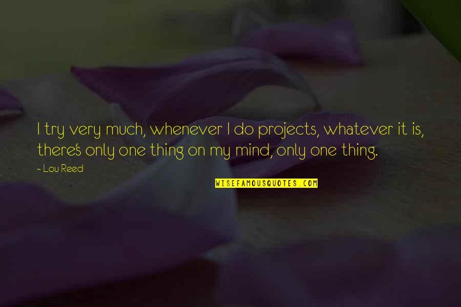 Racism In The West Quotes By Lou Reed: I try very much, whenever I do projects, Racism In The West Quotes By Lou Reed: I try very much, whenever I do projects,