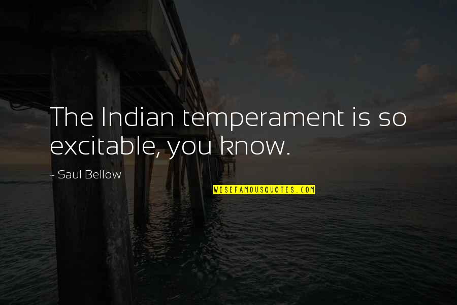 Racism Quotes By Saul Bellow: The Indian temperament is so excitable, you know.