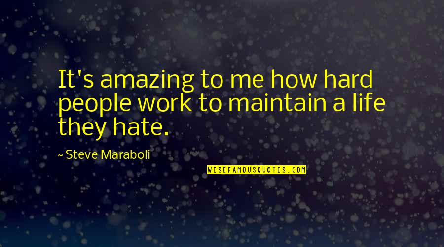 Racism Will Never End Quotes By Steve Maraboli: It's amazing to me how hard people work