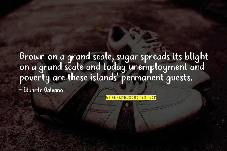 Radakovich Bellingham Quotes By Eduardo Galeano: Grown on a grand scale, sugar spreads its Radakovich Bellingham Quotes By Eduardo Galeano: Grown on a grand scale, sugar spreads its