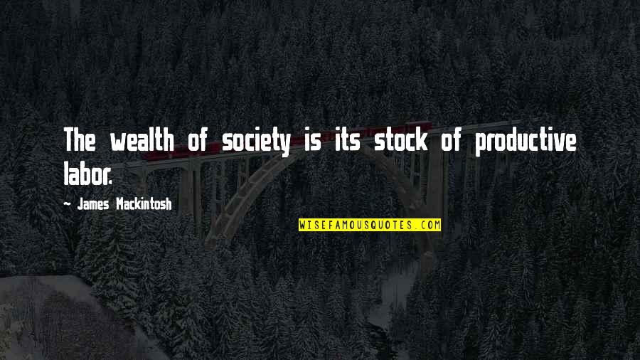 Raddock Chairs Quotes By James Mackintosh: The wealth of society is its stock of
