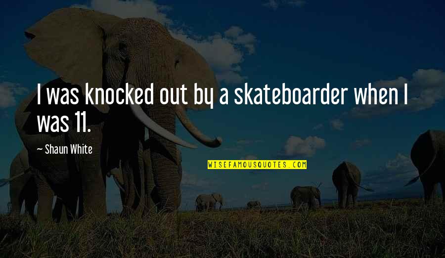 Radecker Tire Quotes By Shaun White: I was knocked out by a skateboarder when