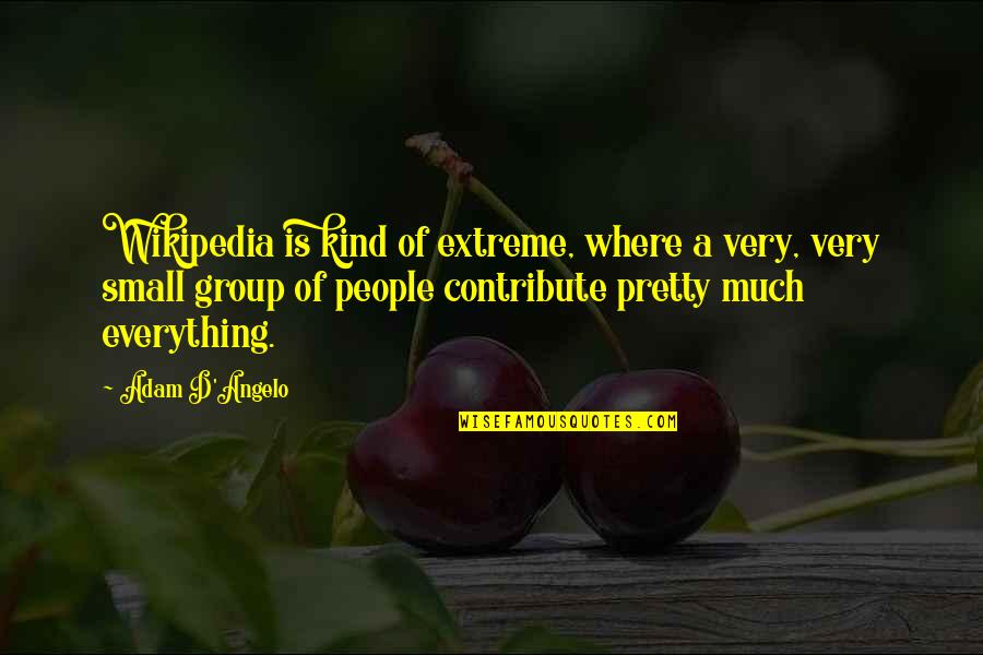 Radha Soami Quotes By Adam D'Angelo: Wikipedia is kind of extreme, where a very, Radha Soami Quotes By Adam D'Angelo: Wikipedia is kind of extreme, where a very,