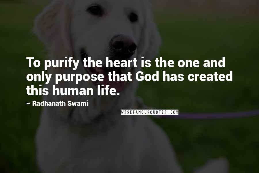 Radhanath Swami quotes: To purify the heart is the one and only purpose that God has created this human life.