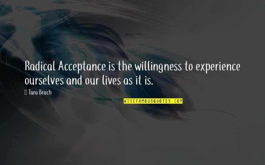 Radical Acceptance Quotes By Tara Brach: Radical Acceptance is the willingness to experience ourselves