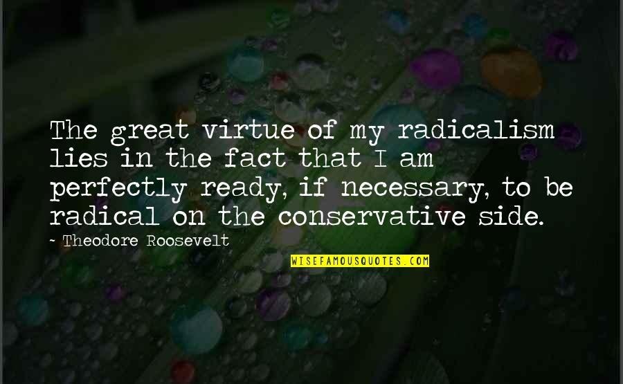 Radicalism Quotes By Theodore Roosevelt: The great virtue of my radicalism lies in