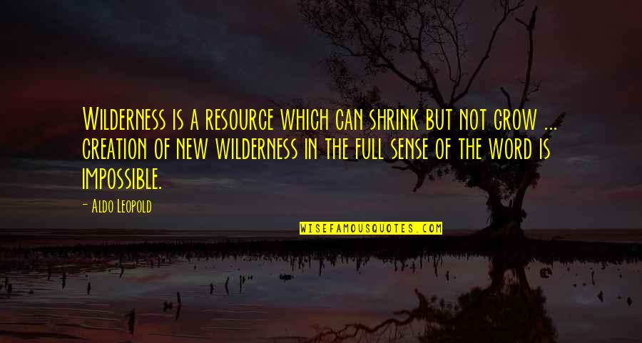 Radicalismo Liberal Quotes By Aldo Leopold: Wilderness is a resource which can shrink but Radicalismo Liberal Quotes By Aldo Leopold: Wilderness is a resource which can shrink but