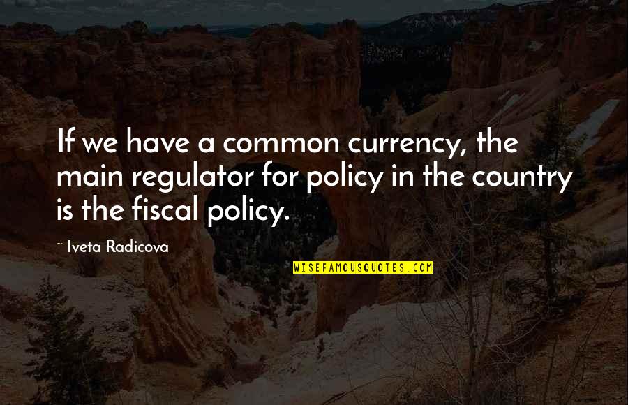 Radicova Iveta Quotes By Iveta Radicova: If we have a common currency, the main