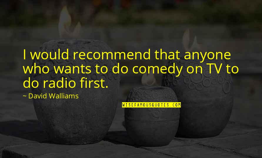 Radio And Tv Quotes By David Walliams: I would recommend that anyone who wants to