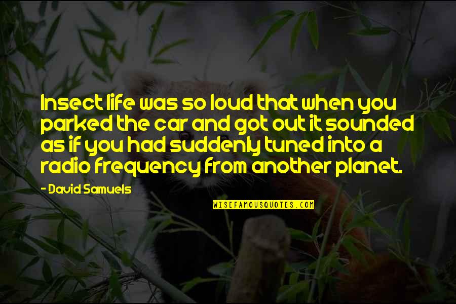 Radio Frequency Quotes By David Samuels: Insect life was so loud that when you