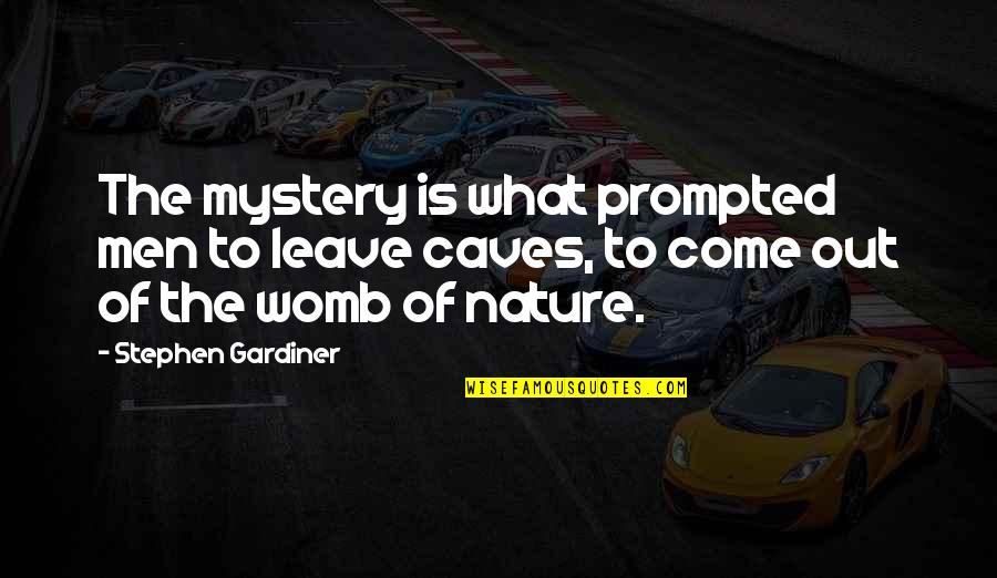 Radio Frequency Quotes By Stephen Gardiner: The mystery is what prompted men to leave