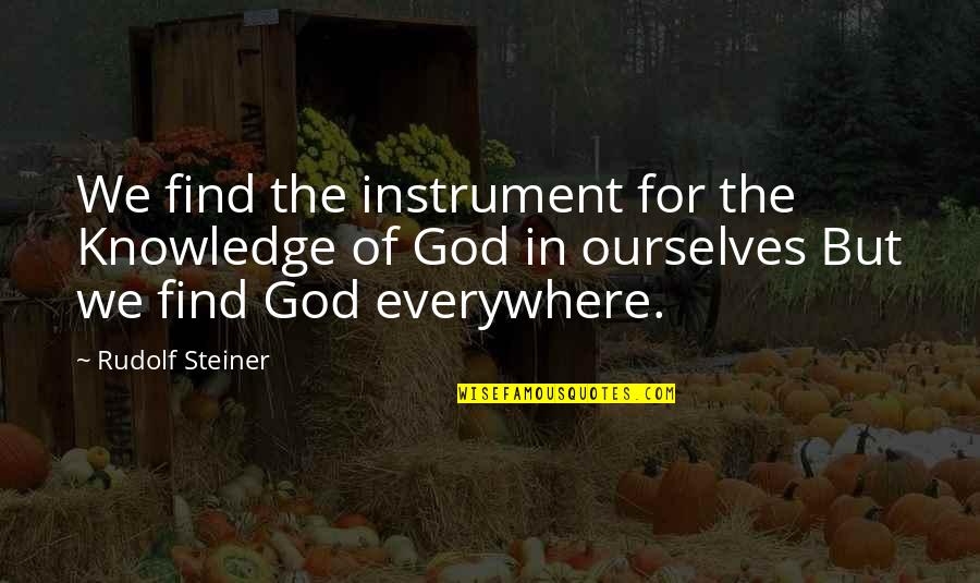 Radio Raheem Quotes By Rudolf Steiner: We find the instrument for the Knowledge of