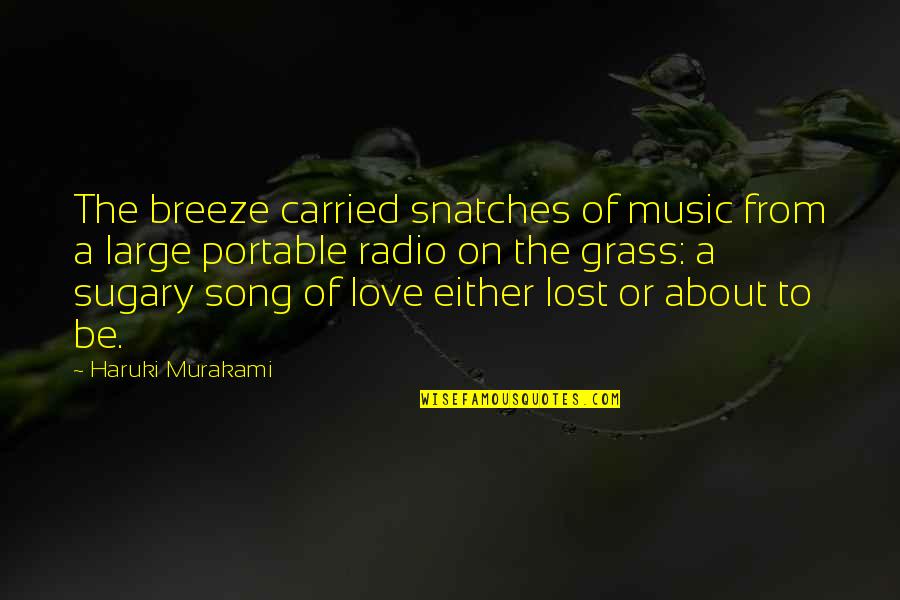 Radio Song Quotes By Haruki Murakami: The breeze carried snatches of music from a Radio Song Quotes By Haruki Murakami: The breeze carried snatches of music from a