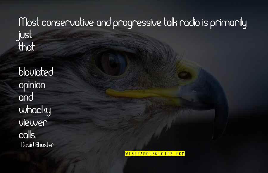 Radio Talk Quotes By David Shuster: Most conservative and progressive talk radio is primarily Radio Talk Quotes By David Shuster: Most conservative and progressive talk radio is primarily