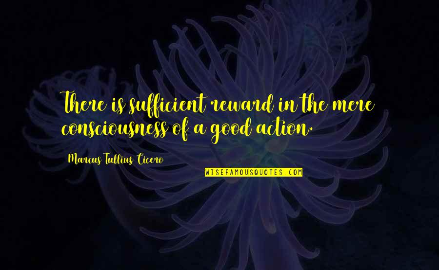 Radioiodine Side Quotes By Marcus Tullius Cicero: There is sufficient reward in the mere consciousness