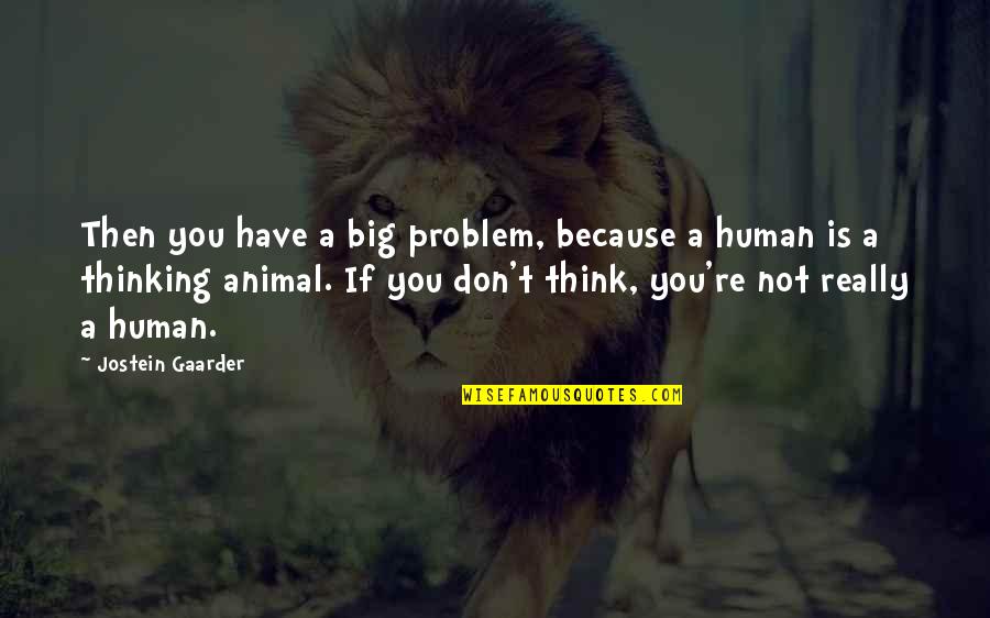 Radisa Antic Quotes By Jostein Gaarder: Then you have a big problem, because a Radisa Antic Quotes By Jostein Gaarder: Then you have a big problem, because a