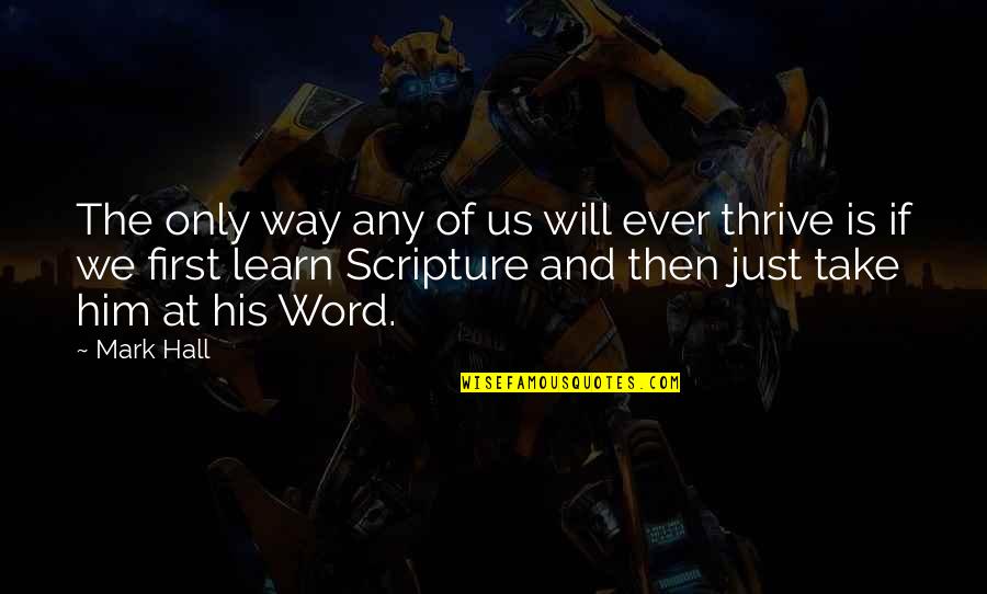 Radivojevic Quotes By Mark Hall: The only way any of us will ever Radivojevic Quotes By Mark Hall: The only way any of us will ever