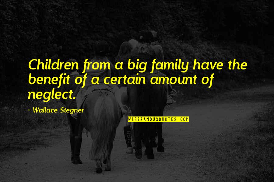 Radivojevic Quotes By Wallace Stegner: Children from a big family have the benefit