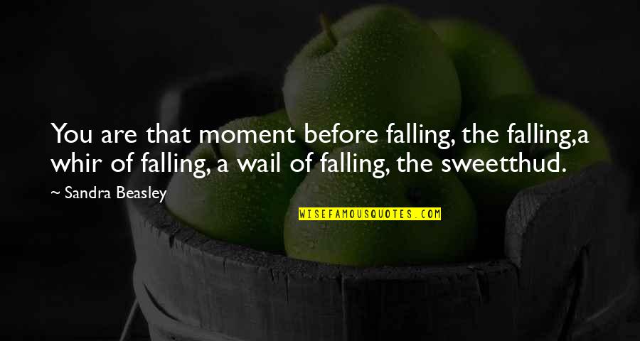 Radon Quotes By Sandra Beasley: You are that moment before falling, the falling,a