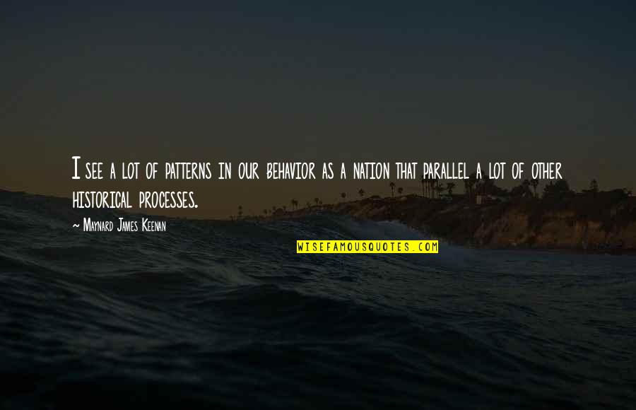 Radon Randell Quotes By Maynard James Keenan: I see a lot of patterns in our