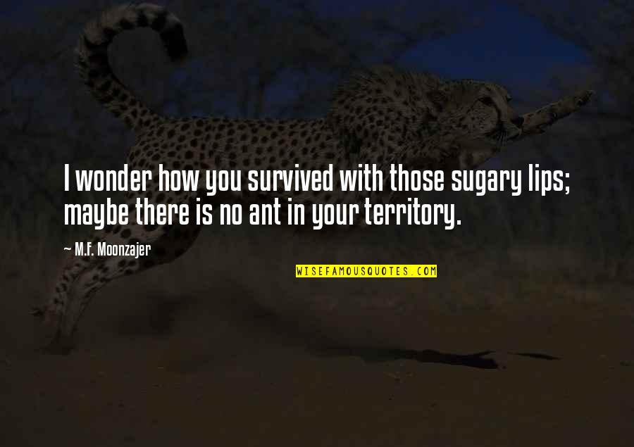 Radvanyi Quotes By M.F. Moonzajer: I wonder how you survived with those sugary