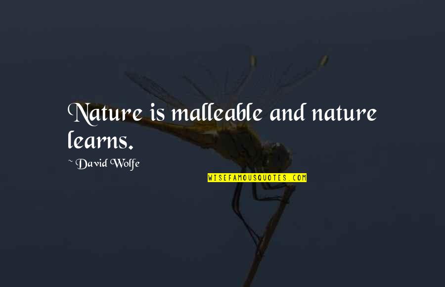 Radwag Quotes By David Wolfe: Nature is malleable and nature learns.