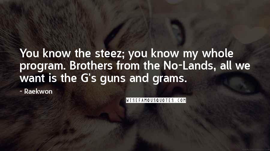 Raekwon quotes: You know the steez; you know my whole program. Brothers from the No-Lands, all we want is the G's guns and grams.