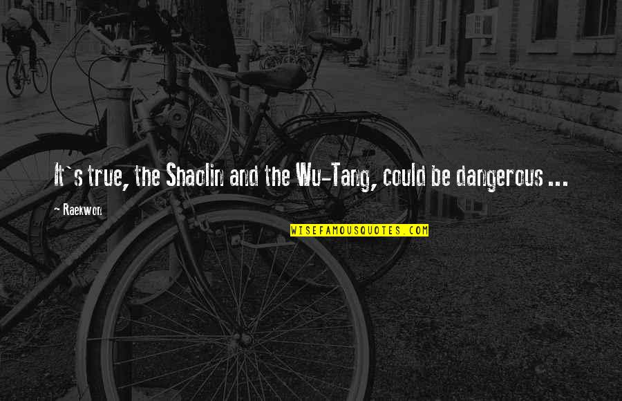 Raekwon Quotes By Raekwon: It's true, the Shaolin and the Wu-Tang, could