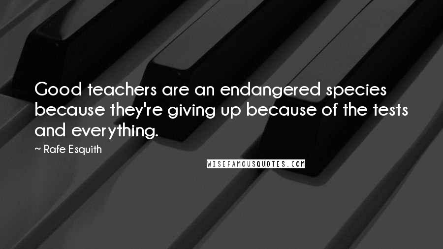 Rafe Esquith quotes: Good teachers are an endangered species because they're giving up because of the tests and everything. Rafe Esquith quotes: Good teachers are an endangered species because they're giving up because of the tests and everything.