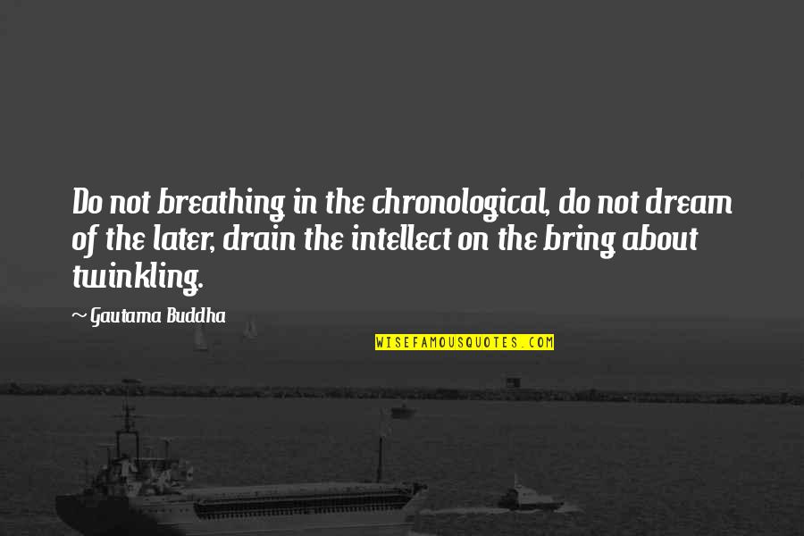 Rafelito Polanco Quotes By Gautama Buddha: Do not breathing in the chronological, do not