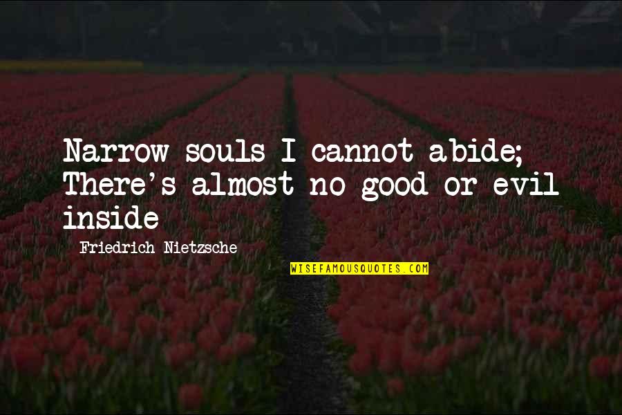 Raffreddore Gravidanza Quotes By Friedrich Nietzsche: Narrow souls I cannot abide; There's almost no