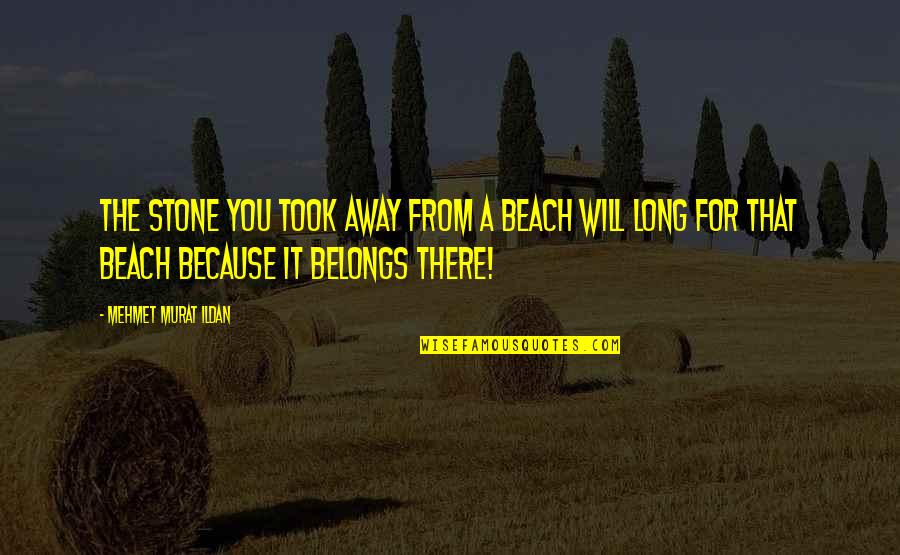 Rafters Vs Trusses Quotes By Mehmet Murat Ildan: The stone you took away from a beach