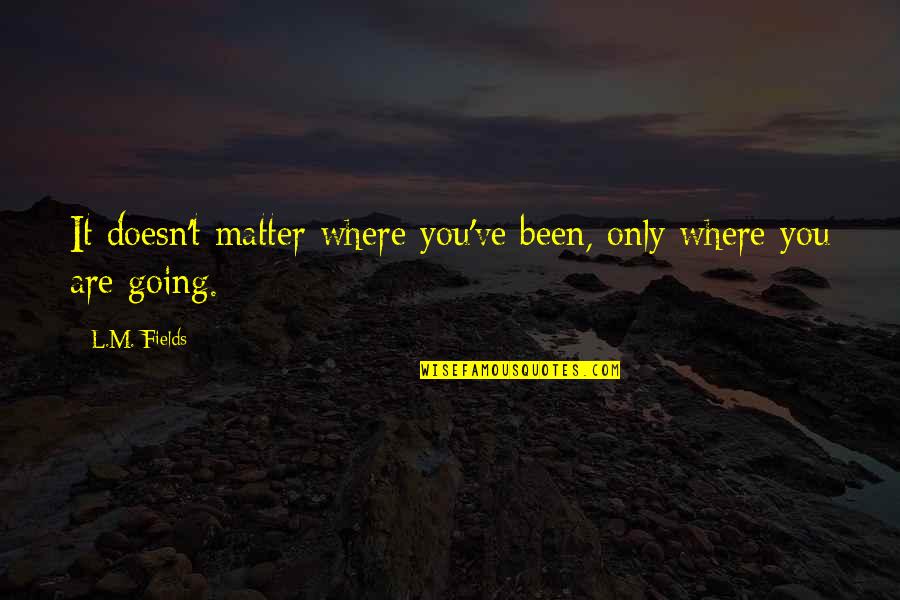 Rage From The Iliad Quotes By L.M. Fields: It doesn't matter where you've been, only where