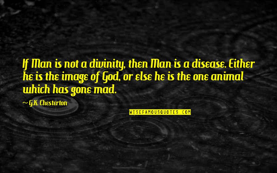 Rage In Harlem Quotes By G.K. Chesterton: If Man is not a divinity, then Man Rage In Harlem Quotes By G.K. Chesterton: If Man is not a divinity, then Man