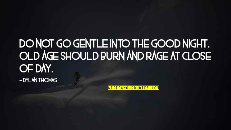 Rage Into The Night Quotes By Dylan Thomas: Do not go gentle into the good night.