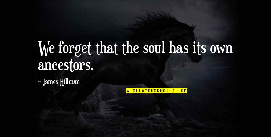 Rage Plugin Hook Quotes By James Hillman: We forget that the soul has its own