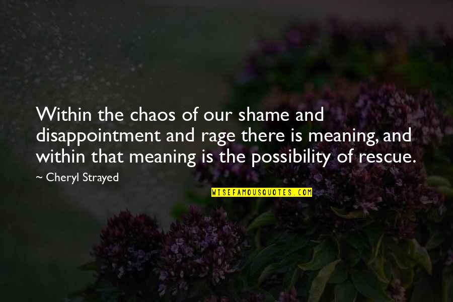 Rage Quotes By Cheryl Strayed: Within the chaos of our shame and disappointment Rage Quotes By Cheryl Strayed: Within the chaos of our shame and disappointment