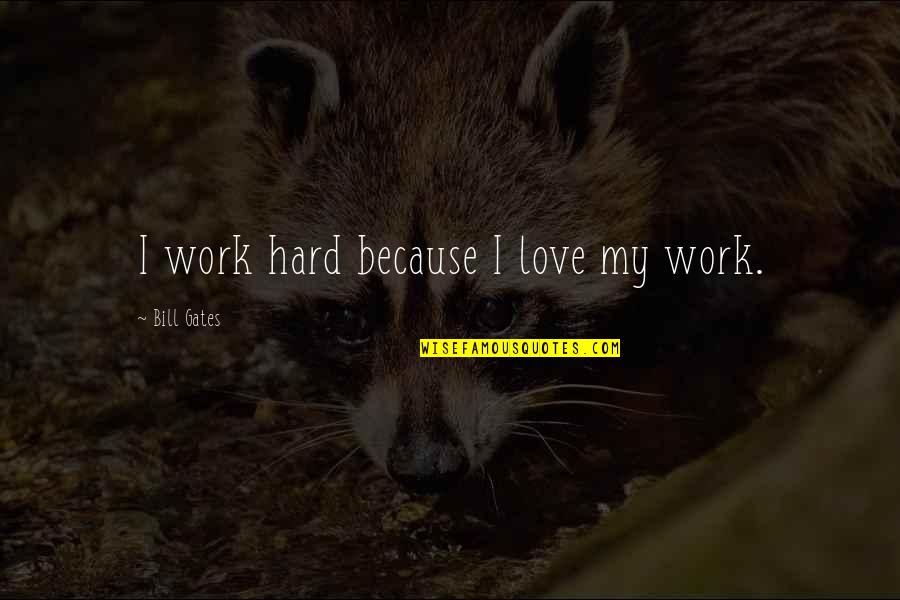 Raggedly Quotes By Bill Gates: I work hard because I love my work. Raggedly Quotes By Bill Gates: I work hard because I love my work.