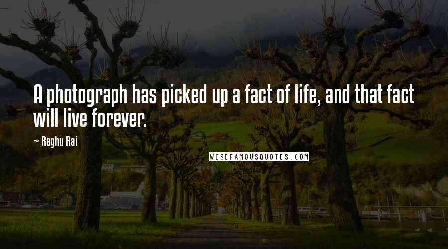 Raghu Rai quotes: A photograph has picked up a fact of life, and that fact will live forever.