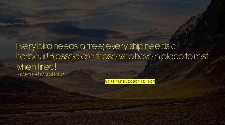 Ragle Inc Quotes By Mehmet Murat Ildan: Every bird needs a tree; every ship needs